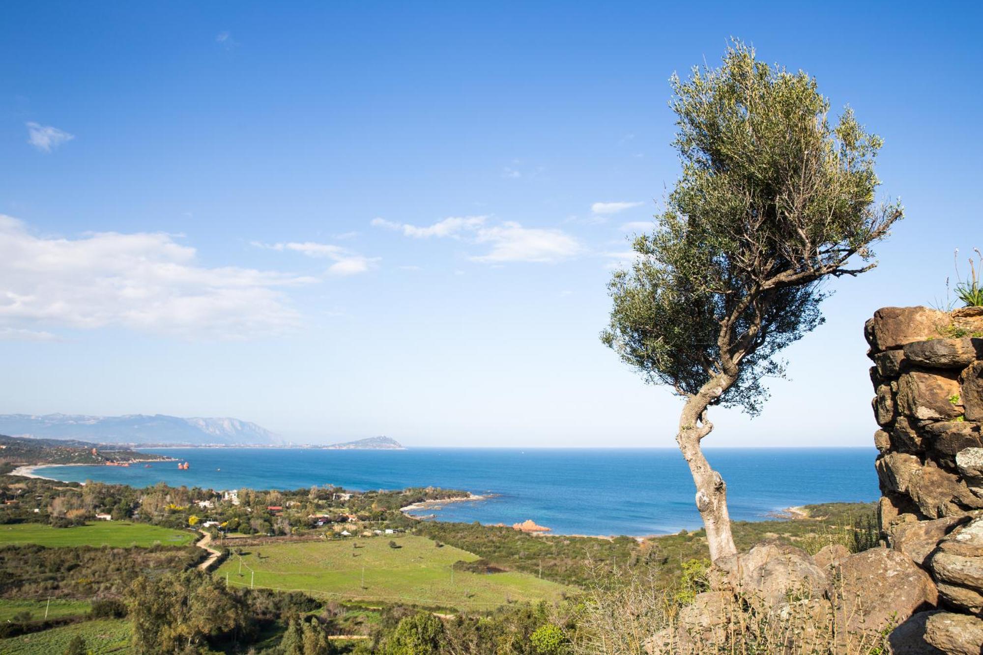 Le Corti Sarde Garden Daire Bari Sardo Dış mekan fotoğraf